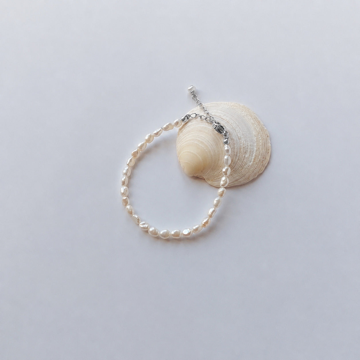 Bracelet entièrement composé de petites perles d'eau douce ovales de couleur blanche nacrée avec un fermoir mousqueton argenté et une chaînette d'extension, disposé en cercle sur fond gris clair aux côtés d'un coquillage blanc arrondi.