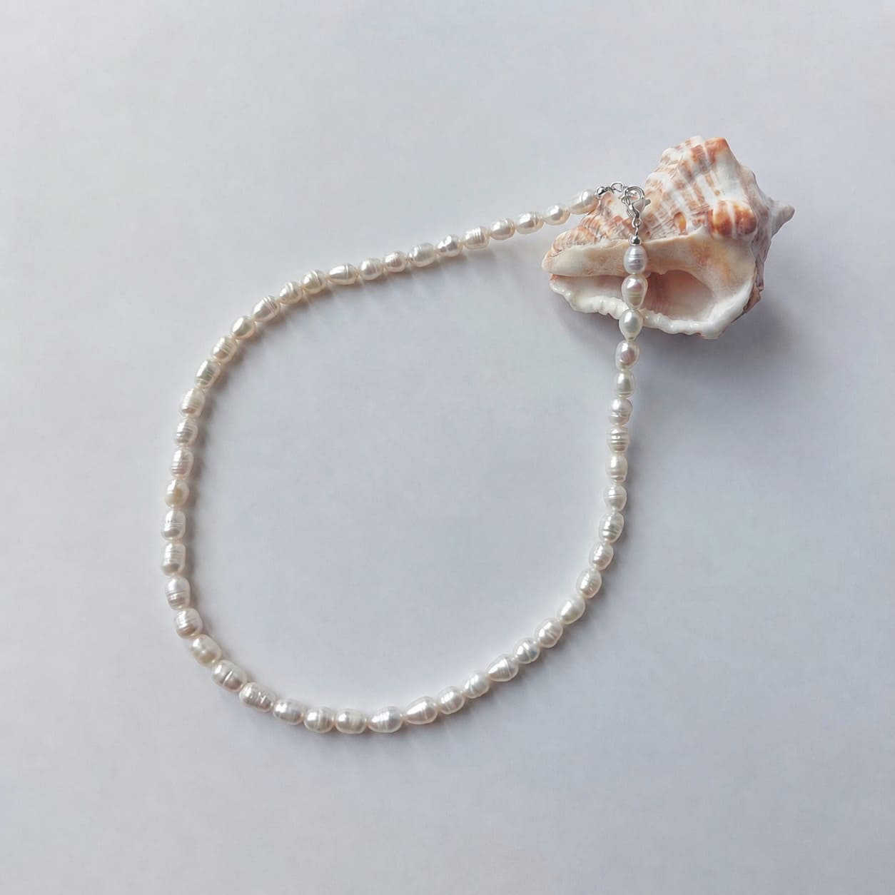 Collier ras-de-cou entièrement composé de petites perles d'eau douce blanches ovales nacrées de tailles variées, avec un fermoir argenté, disposé en cercle sur fond gris clair aux côtés d'un grand coquillage strié blanc et orangé.