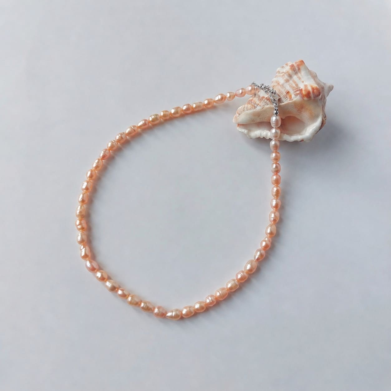 Collier ras-de-cou entièrement composé de petites perles d'eau douce oranges ovales nacrées de tailles variées, avec un fermoir argenté, disposé en cercle sur fond gris clair aux côtés d'un grand coquillage strié blanc et orangé.