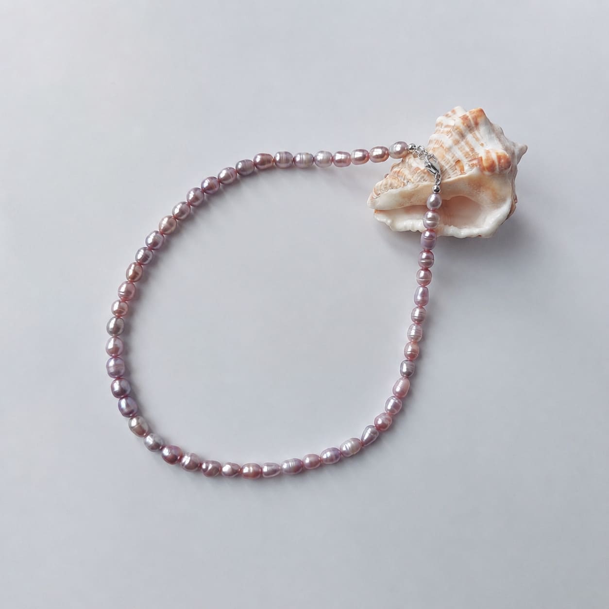 Collier ras-de-cou entièrement composé de petites perles d'eau douce violettes ovales nacrées de tailles variées, avec un fermoir argenté, disposé en cercle sur fond gris clair aux côtés d'un grand coquillage strié blanc et orangé.