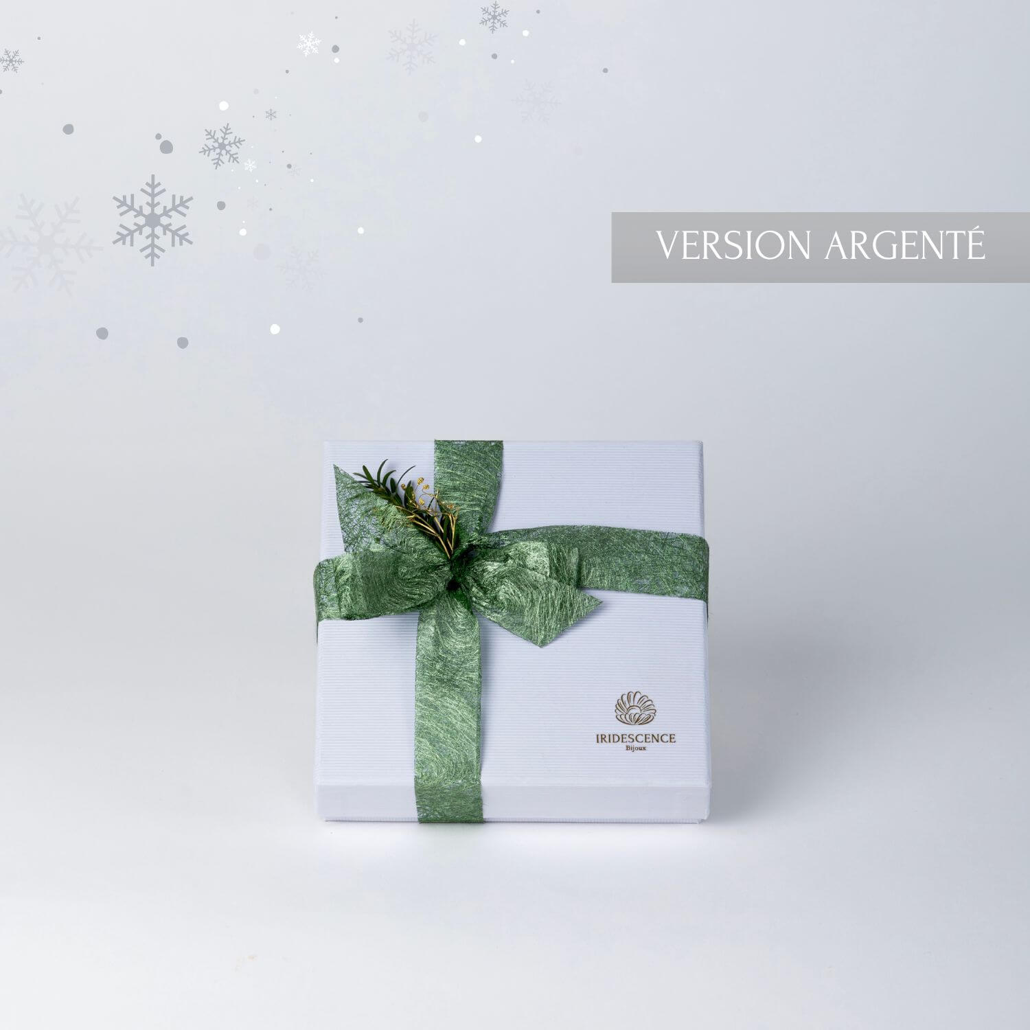 Coffret de Noel de bijoux en acier inoxydable argente