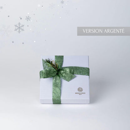 Coffret de Noel de bijoux en acier inoxydable argente
