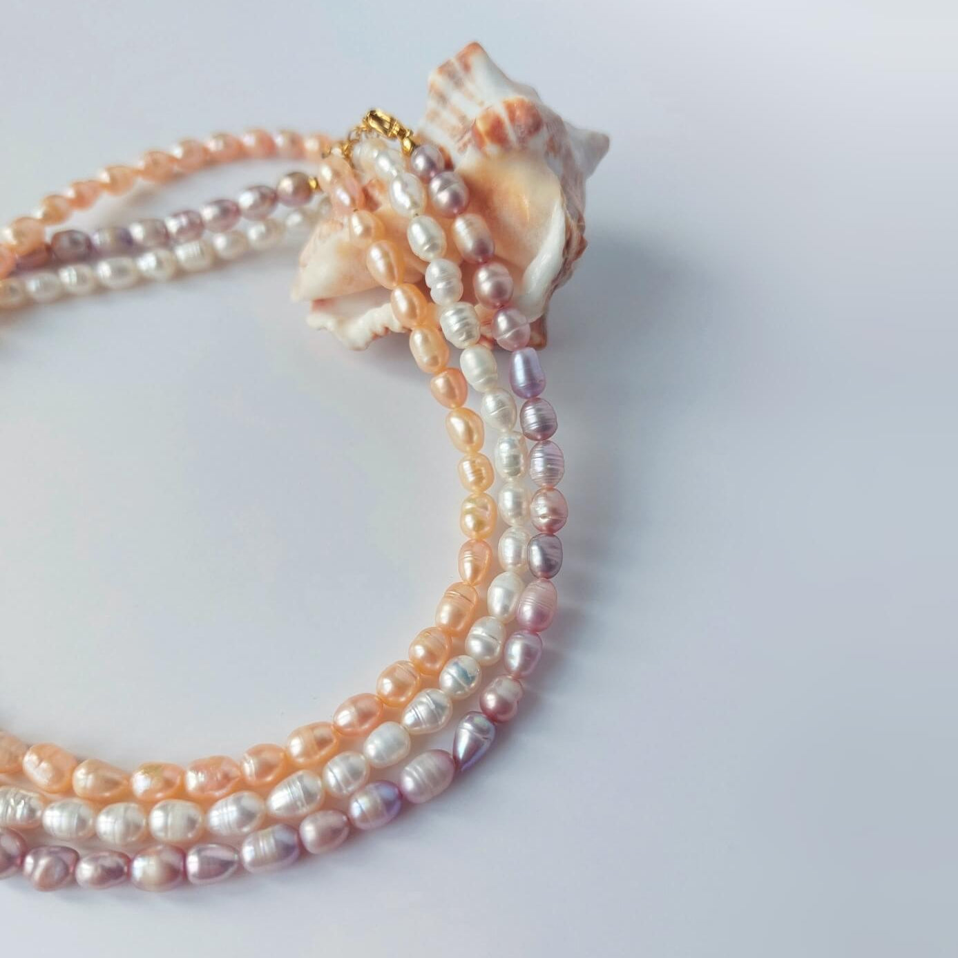 Trois colliers en perles d'eau douce posés sur un coquillage sur fond blanc. 